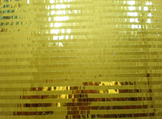 21.Gold Gypsy Sequins