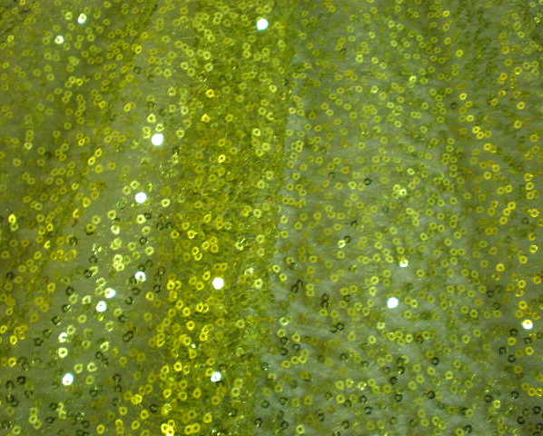 22.Olive Novelty Sequins