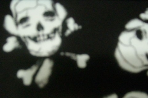 3. Black-Aqua Pirates Flag