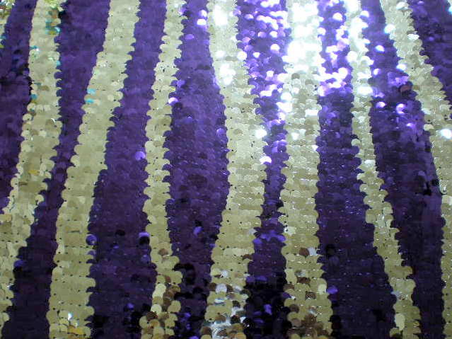 7.Purple-Silver Gypsy Sequins
