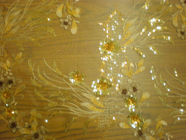 6.Lt.Tan Arundhuti Sequins#3